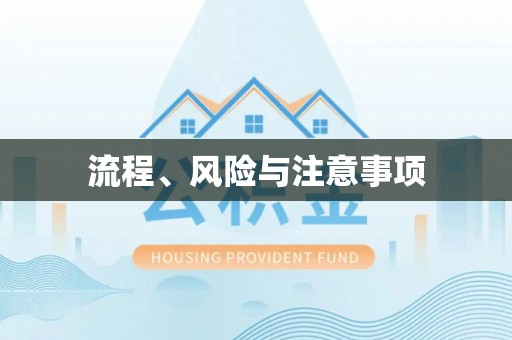 阜沙流程、风险与注意事项