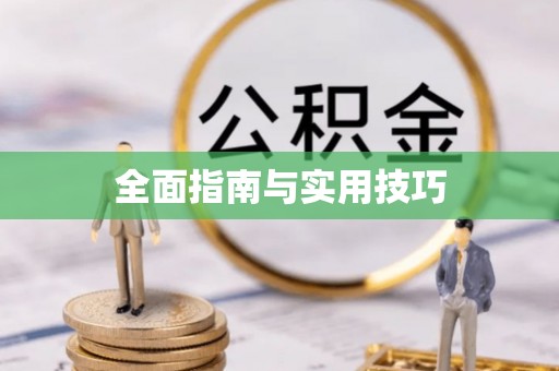 阜沙全面指南与实用技巧