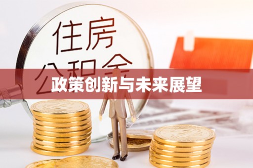 阜沙政策创新与未来展望