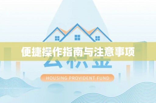阜沙便捷操作指南与注意事项