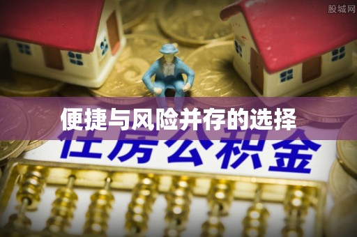阜沙便捷与风险并存的选择