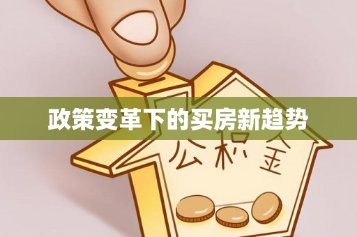 阜沙政策变革下的买房新趋势
