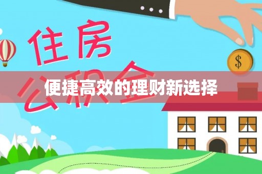 阜沙便捷高效的理财新选择