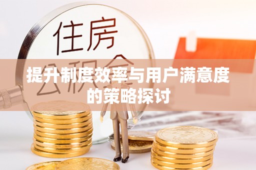 阜沙提升制度效率与用户满意度的策略探讨