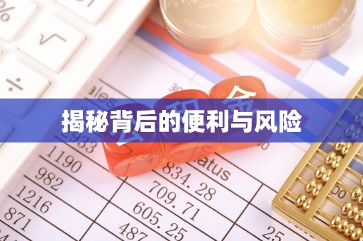 阜沙揭秘背后的便利与风险