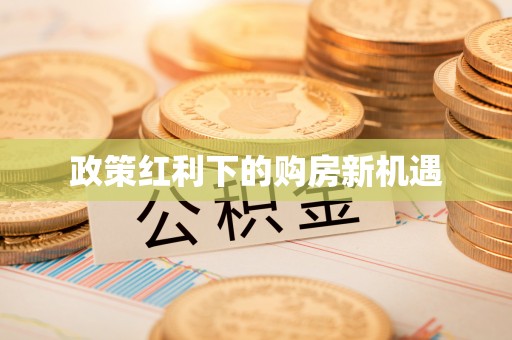 阜沙政策红利下的购房新机遇