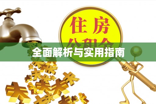 阜沙全面解析与实用指南