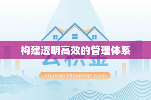 阜沙构建透明高效的管理体系