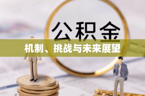 阜沙机制、挑战与未来展望